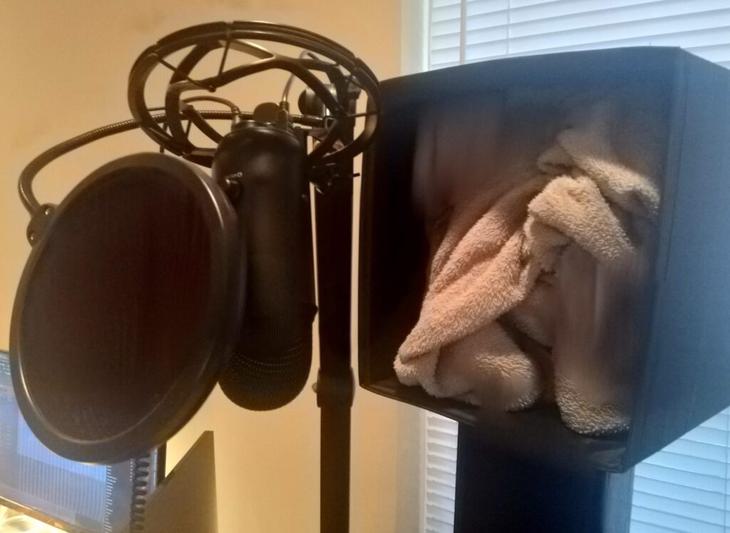 Microphone setup