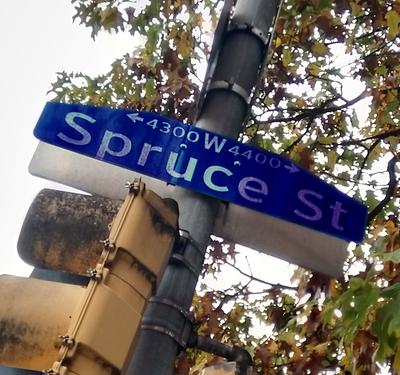 Spruce street sign